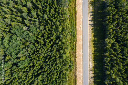 Aerial view from drone on asphalt road at pine forest