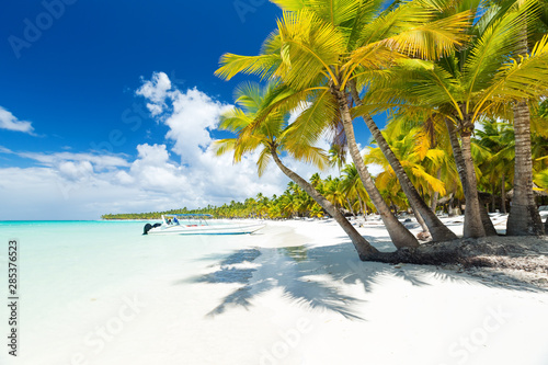 White sandy beach with sea and palms photo