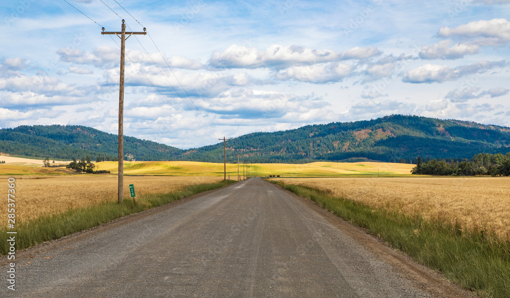 Dirt road with bend in middle of golden wheat field with power poles and lines in Idaho