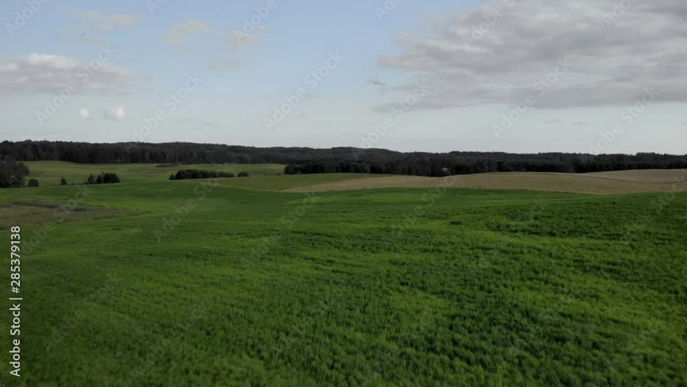 Back fly, Aerial shot on green grass field, small hills and trees on the horizon Back fly, Aerial shot on green grass field, small hills and trees on the horizon