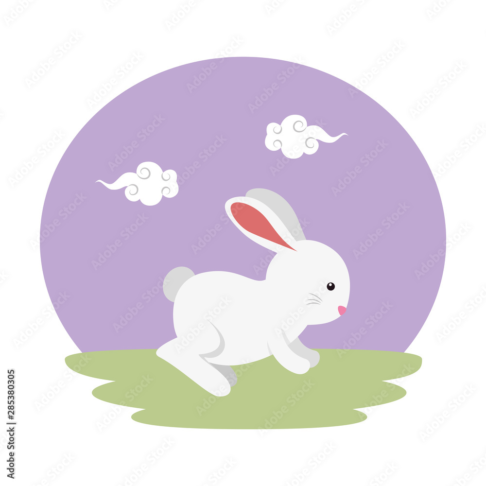 cute and little rabbit in the field character
