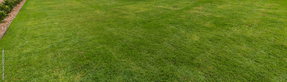 green grass lawn green grass lawn