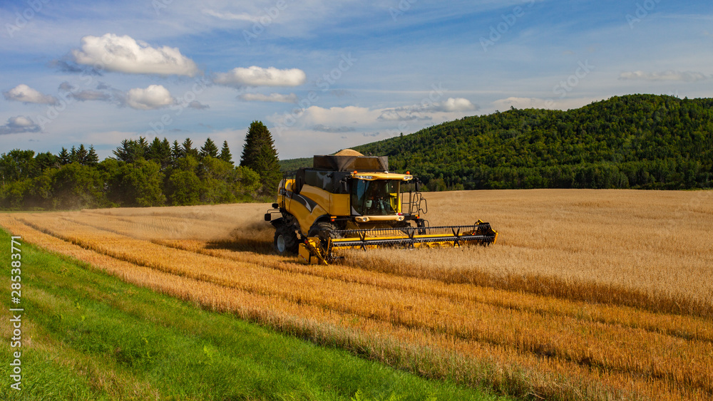 Fototapeta premium Combine in the field