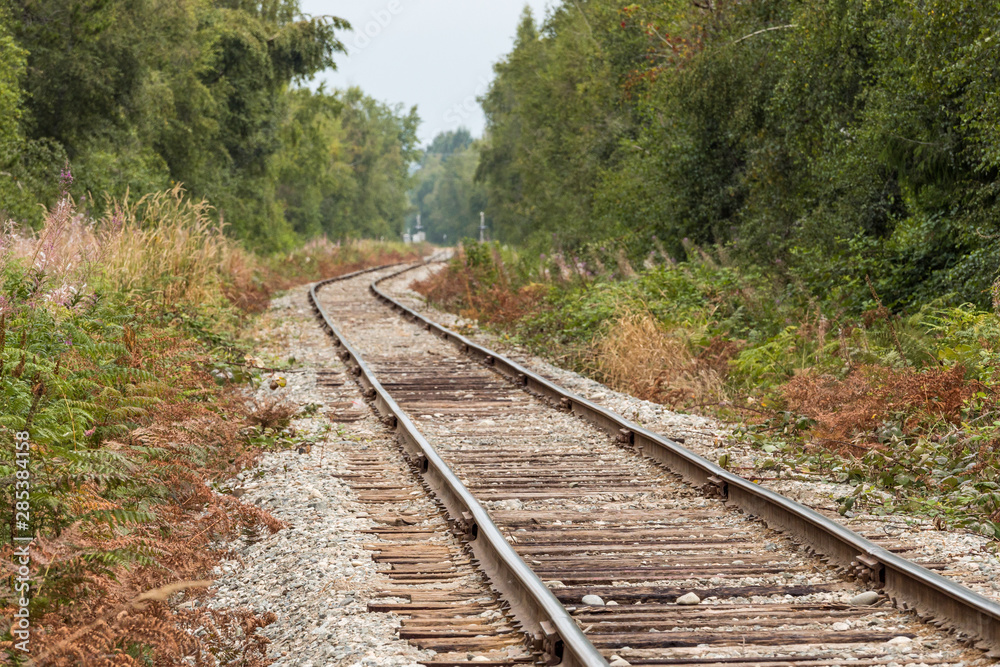 railroad in the country side with trees and bushes on both sides on an over cast day railroad in the country side with trees and bushes on both sides on an over cast day