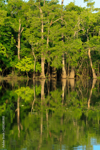 Big Thicket Reserve Texas USA