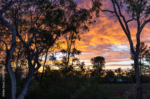Queensland Scenery