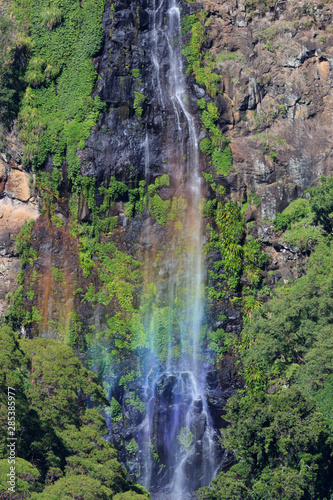 Moran s Falls in Lamington National Park Queensland