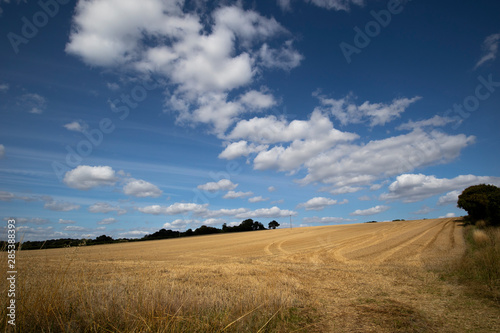Clouds over recently harvested crop with stubble left in field in the rural county of Hampshire