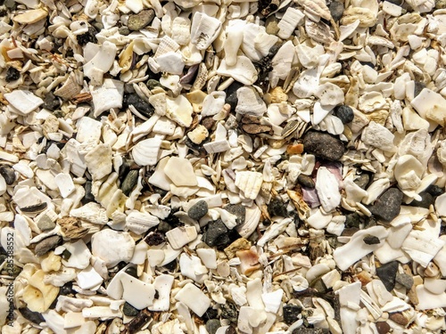 A unique and colorful background collage of rocks and shells from a beach. 