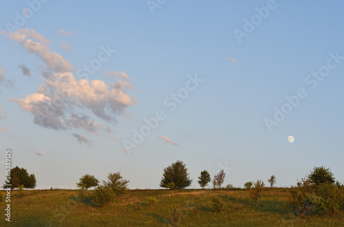 Summer landscape with moon and clouds