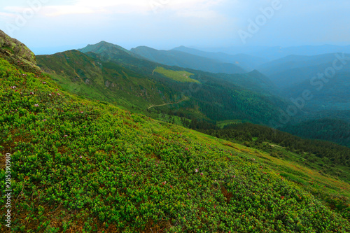 wonderful summer green slope in Carpathian mountains, perfect sunny day, incredible nature wallpaper, Europe, Ukraine, Marmarosy range, beauty world