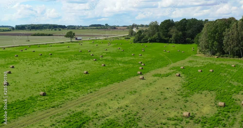 Aerial Drone view of Hay Rolls in the Wheat Field, Surrounded with Forests - Sunny Summer Day, Vintage Look Edit. Aerial Drone view of Hay Rolls in the Wheat Field, Surrounded with Forests - Sunny Summer Day, Vintage Look Edit.