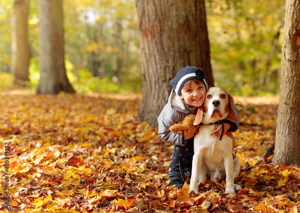 Little girl with beagle outdoors in the autumn park.