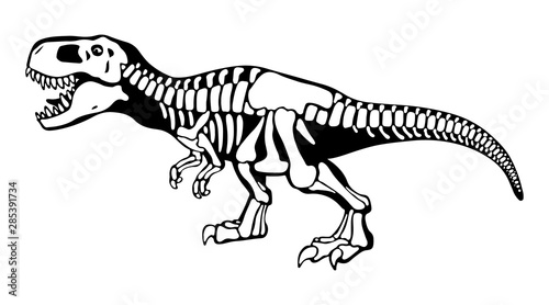 Tyrannosaurus rex bones, dinosaur skeleton monochrome illustration © Janna Mudrak