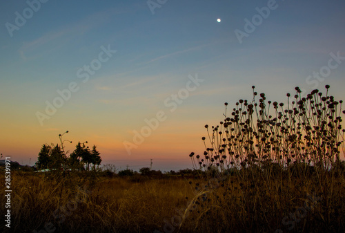 sunset over field with the moon