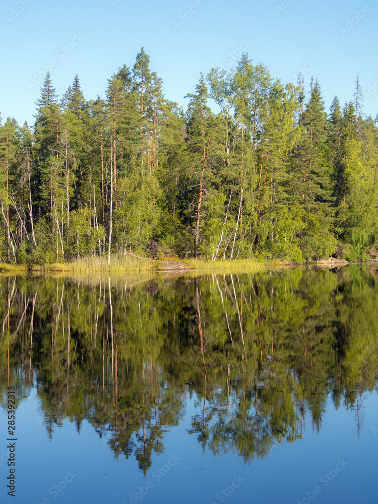 morning symmetry on the lake