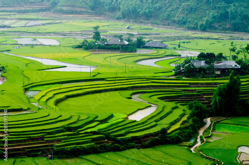 Beautiful terraced rice field in Mu Cang Chai, Vietnam