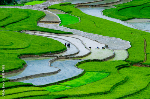 Beautiful terraced rice field in Mu Cang Chai, Vietnam