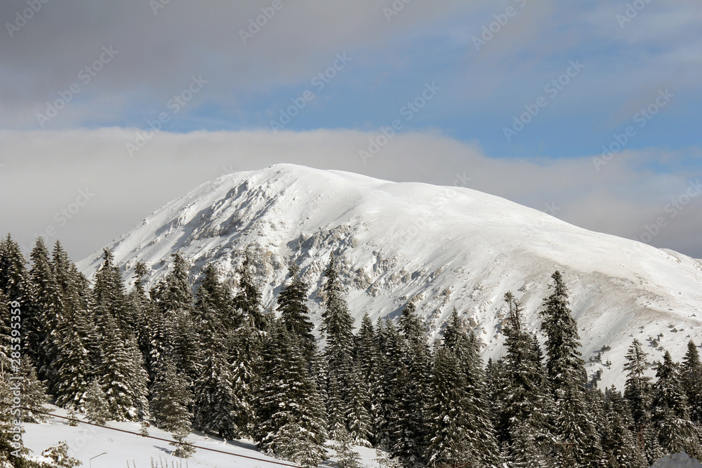 Obraz premium peak, snowy, top, alps, climbing, sport, tour, glacier, europe, ridge, mountaineering, scenery, tourism, altitude, alpine, alpinism, extreme, france, nature, forest, snow, outdoor, sky, landscape, sea