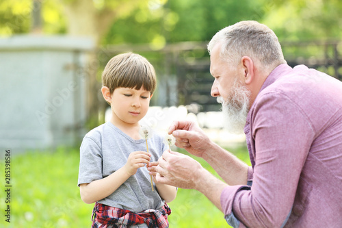 Cute little boy and his grandfather with dandelions in park