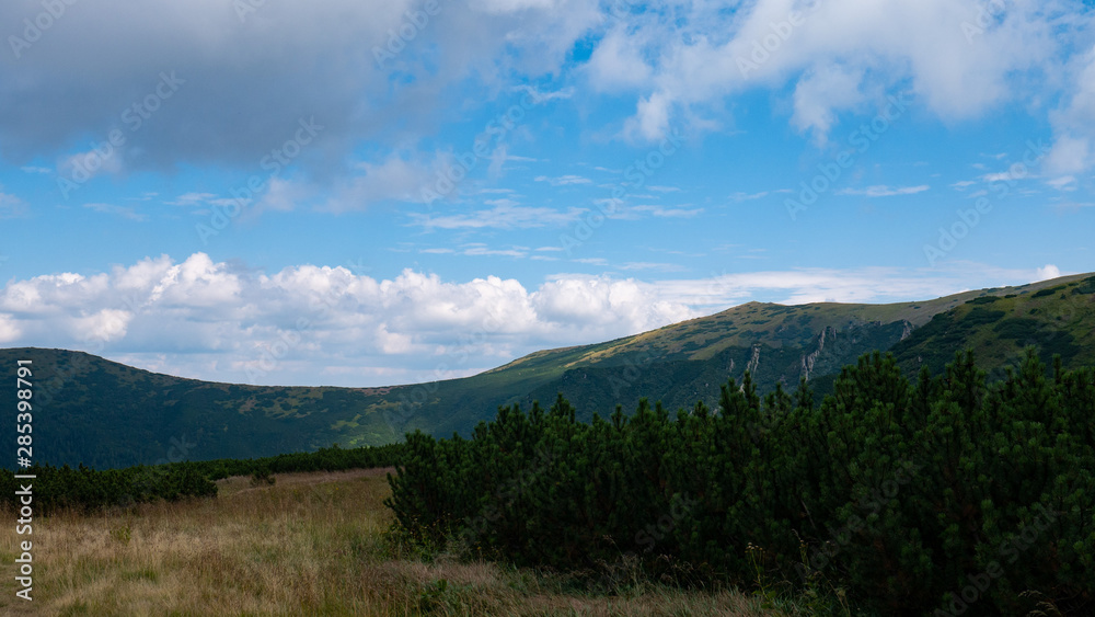 Fototapeta premium Mountain valley during sunrise / sunset. Natural summer landscape. Colorful summer landscape in the Carpathian mountains.