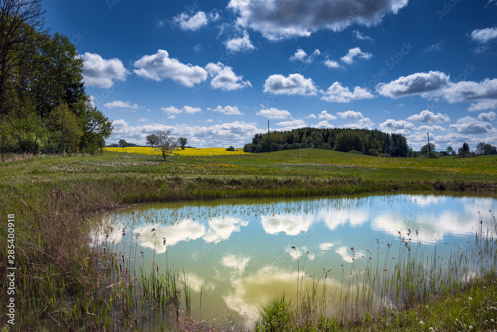 Fototapeta premium Spring landscape with canola flowers.