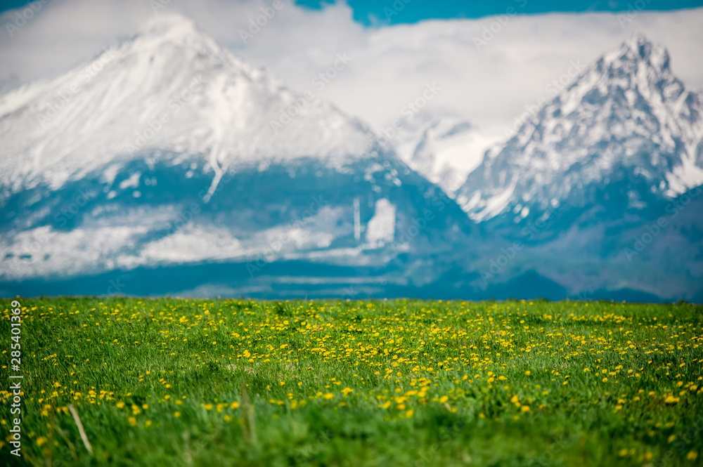 Green fields and meadows in Slovakia under mountains