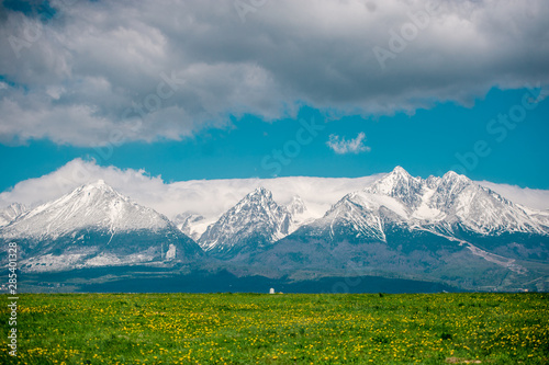 High Tatras during spring time in Slovakia. Field with yellow dandelions.