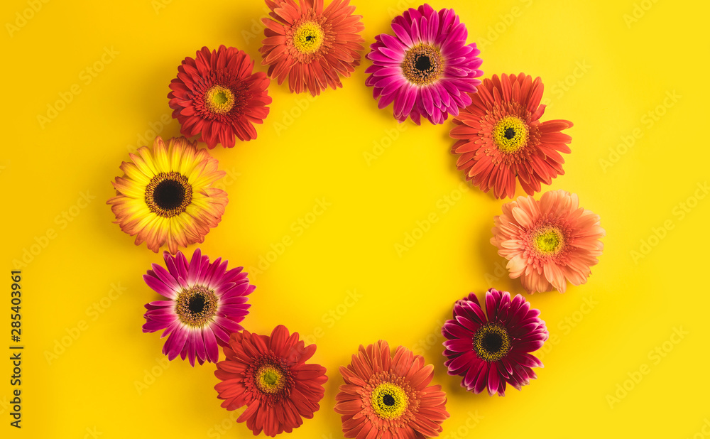Bright beautiful gerbera flowers on sunny yellow background. Concept of warm summer and early autumn. Place for text, lettering or product. View from above, Copy space. Flatlay.