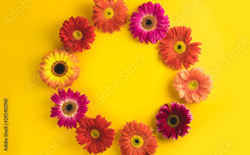 Bright beautiful gerbera flowers on sunny yellow background. Concept of warm summer and early autumn. Place for text, lettering or product. View from above, Copy space. Flatlay.