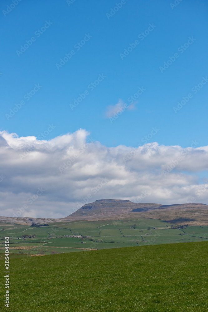 Whernside in the Yorkshire Dales looking north in the Spring sunlight on an April's day with the small Hill farms on its flanks. Kirby Lonsdale, England.