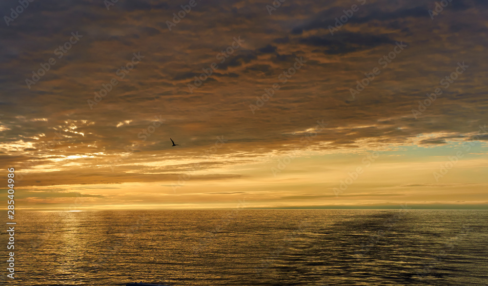 Obraz premium Sunset on a Summers evening in the Norwegian North Sea taken from a Seismic Vessel with a large Gull flying off the stern in the Golden light. Norway.