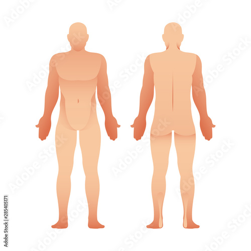 Silhouettes of man front and back view. Vector human body