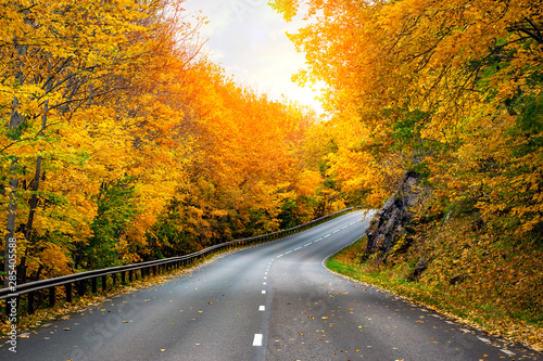 Fall scenic road in Sweden