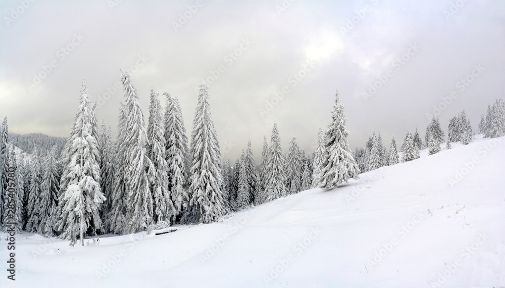 panoramic winter landscape in the mountains panoramic winter landscape in the mountains
