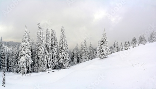 panoramic winter landscape in the mountains