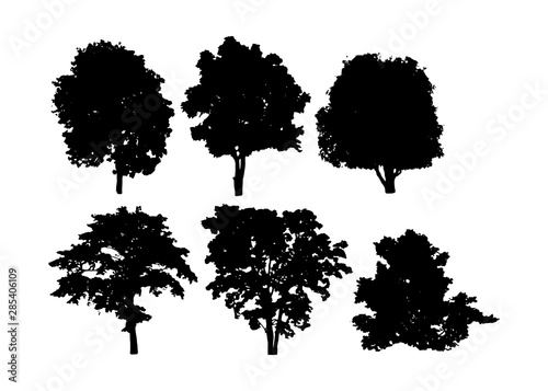  isolated of trees on the white background. 