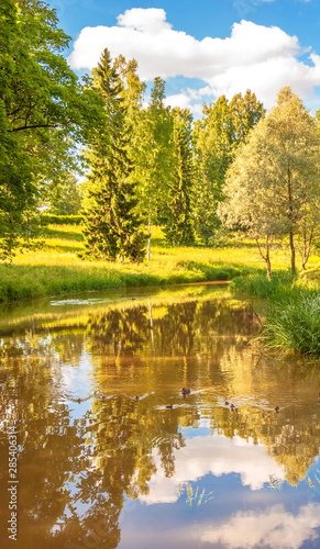 Fototapeta Naklejka Na Ścianę i Meble -  Summer landscape with forest lake