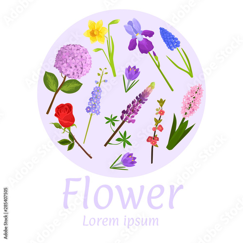 Floral flower card design vector illustration. Natural botanical circle frame...