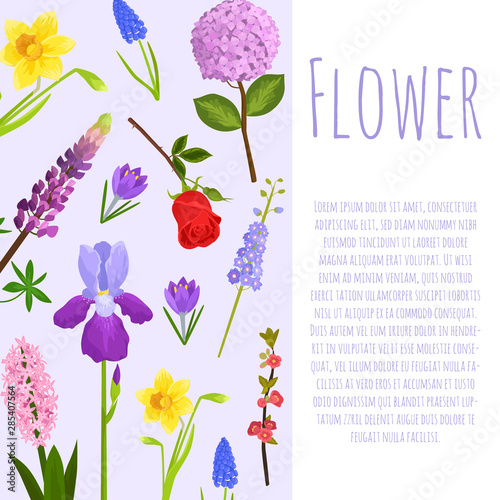 Floral or garden flowers summer poster vector illustration. Nature flower des...