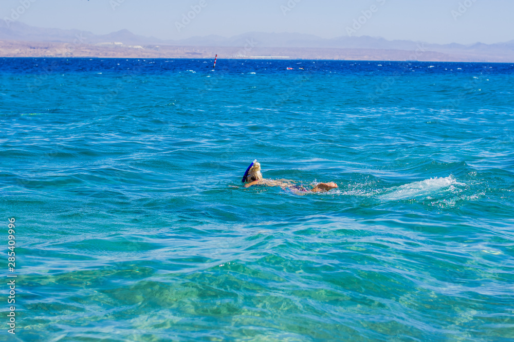 swimming and snorkeling girl back to camera in Gulf of Aqaba Red sea bay transparent clean water, summer vacation concept photography 