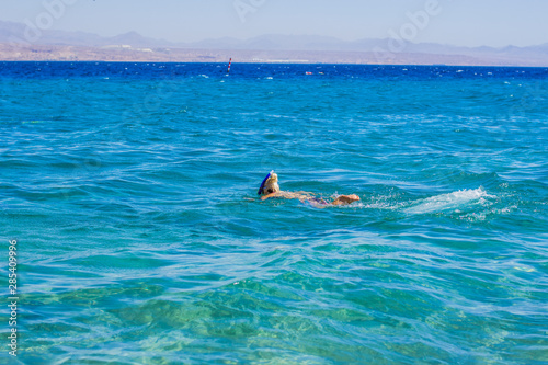 swimming and snorkeling girl back to camera in Gulf of Aqaba Red sea bay transparent clean water, summer vacation concept photography  © Артём Князь