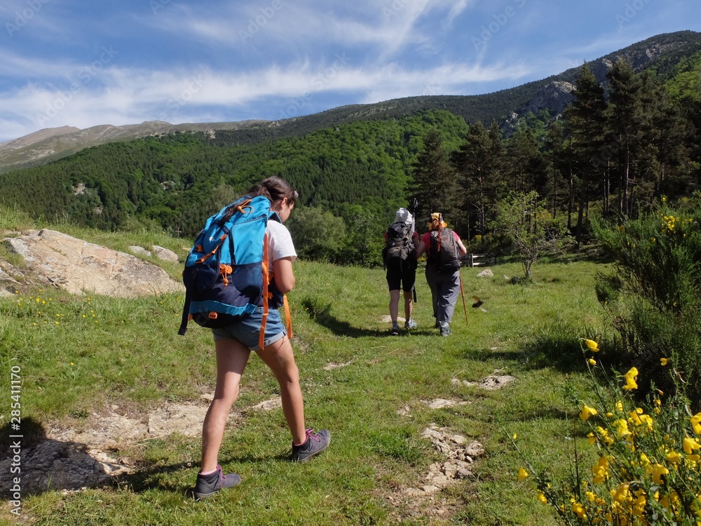 groupe de randonnée randonneurs en foret forêt et entraide groupe de randonnée randonneurs en foret forêt et entraide