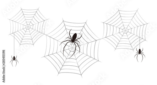 蜘蛛 蜘蛛の巣 ベクター イラスト クリップアート