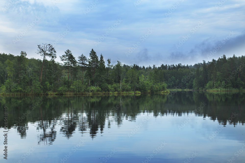 forest around the lake. reflection of trees in water. blue lakes on Naroch