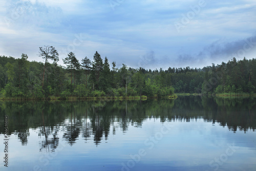 forest around the lake. reflection of trees in water. blue lakes on Naroch
