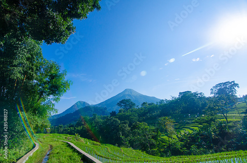 an epic view of Mount Penanggungan with rice field