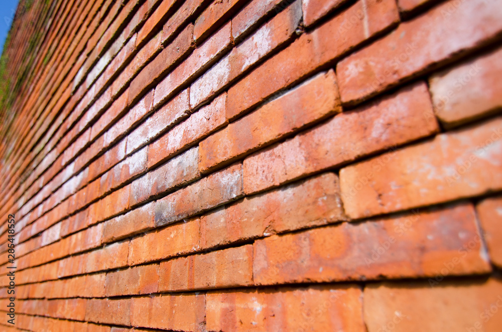 red brick wall with white stain