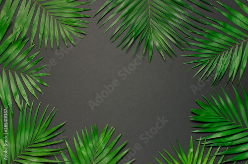 Creative minimal background with tropical leaves. Tropical palm leaves on gray black background. Flat lay  top view  copy space. Summer background  nature. Leaf pattern