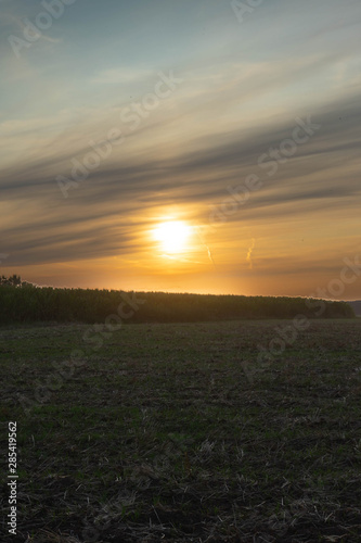 Der Sonnenuntergang auf freiem Land